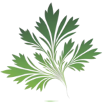 Coriander.com