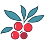 Cranberry.io