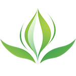 Sprout.com
